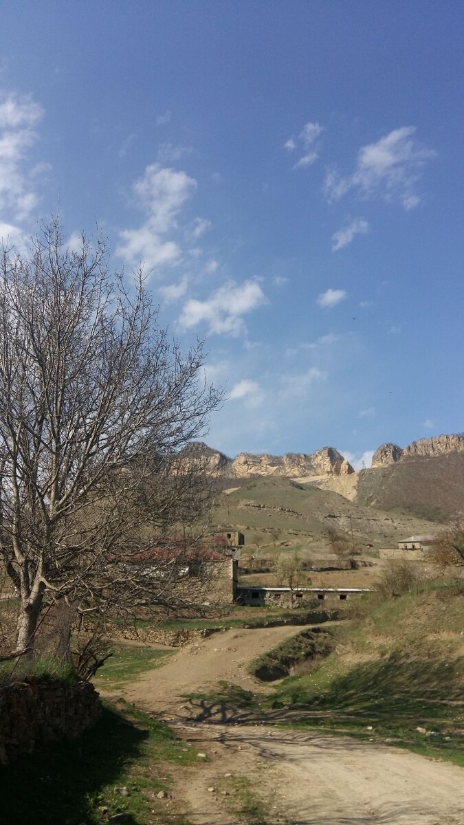 Каждые летние каникулы мы все торопились поехать к своим родным в село,увидеть сестёр,братьев ,бабушек и дедушек и весело провести летнее время.А щас как будто от нас оторвали эту частичку сердца уже кажется не таким весёлым это место без родных людей,но все же в иной раз так хочется поехать туда .