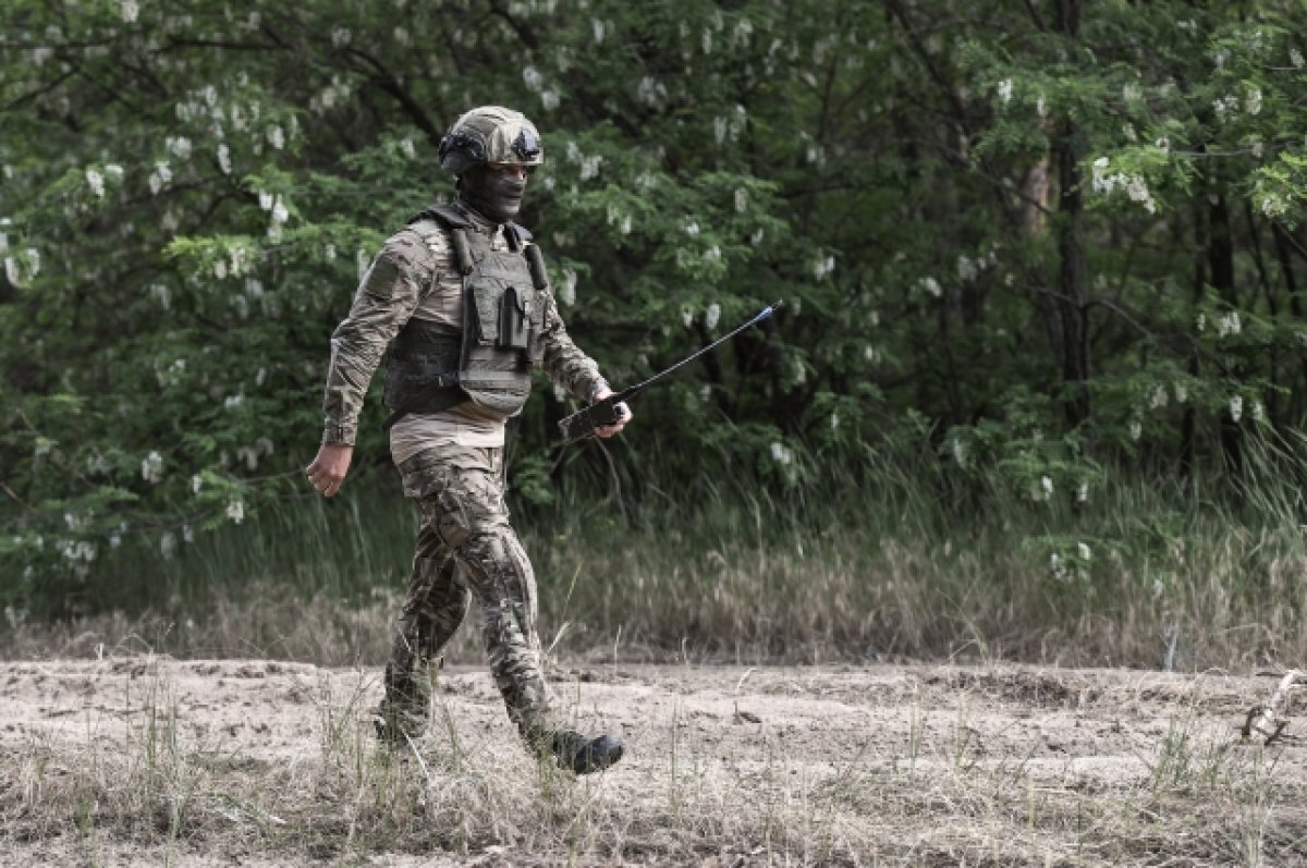    Минобороны: ВС РФ предотвратили теракт ВСУ в районе белгородского Шебекино