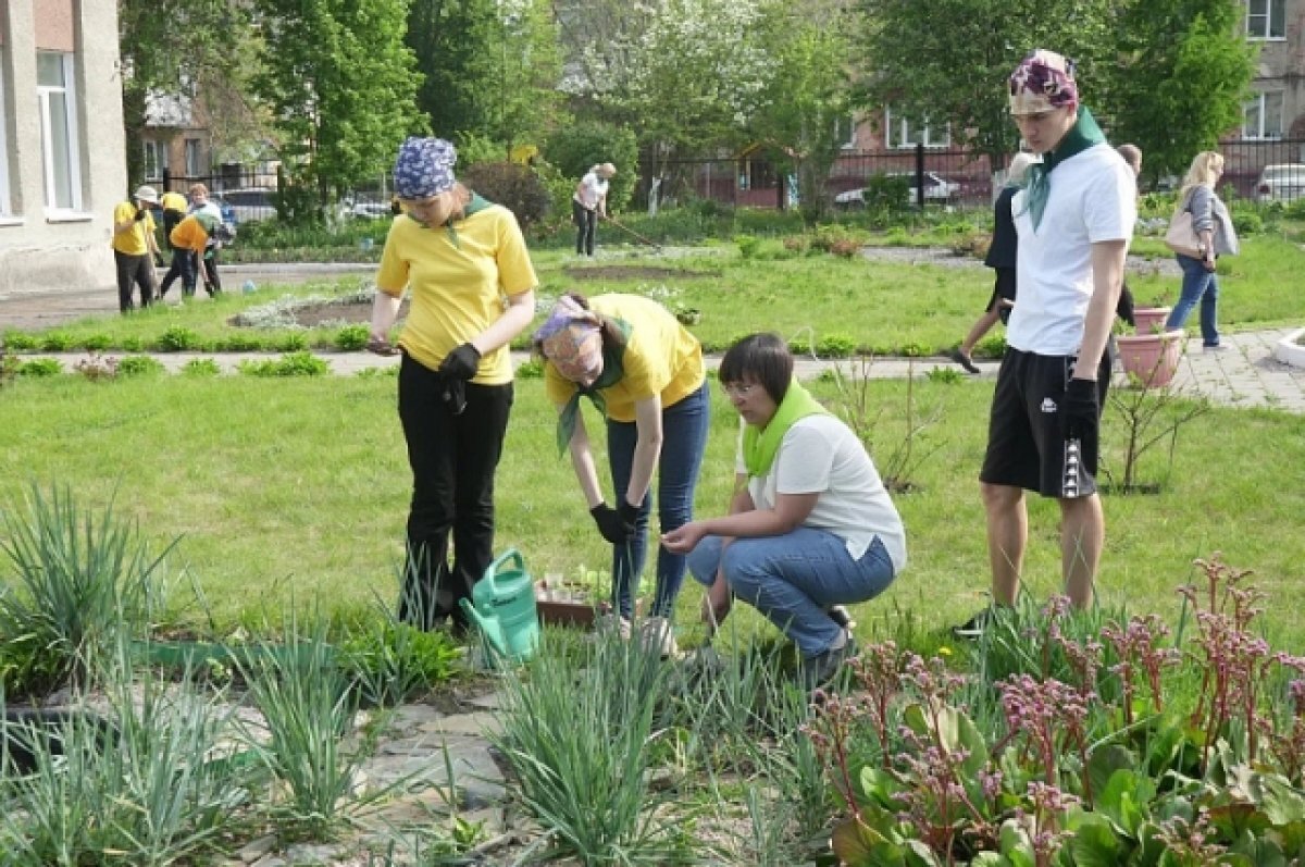    Для старшеклассников Кемерова началась трудовая четверть