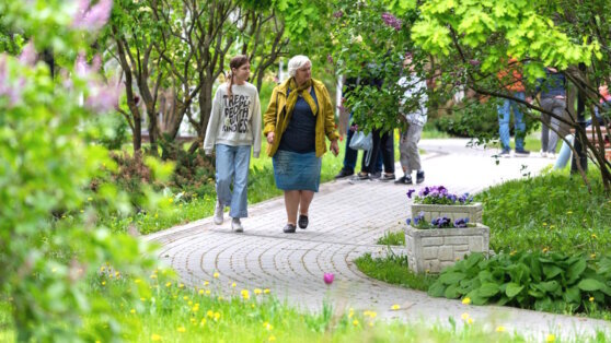    Потепление ожидается в Москве в начале недели Иван Обухов