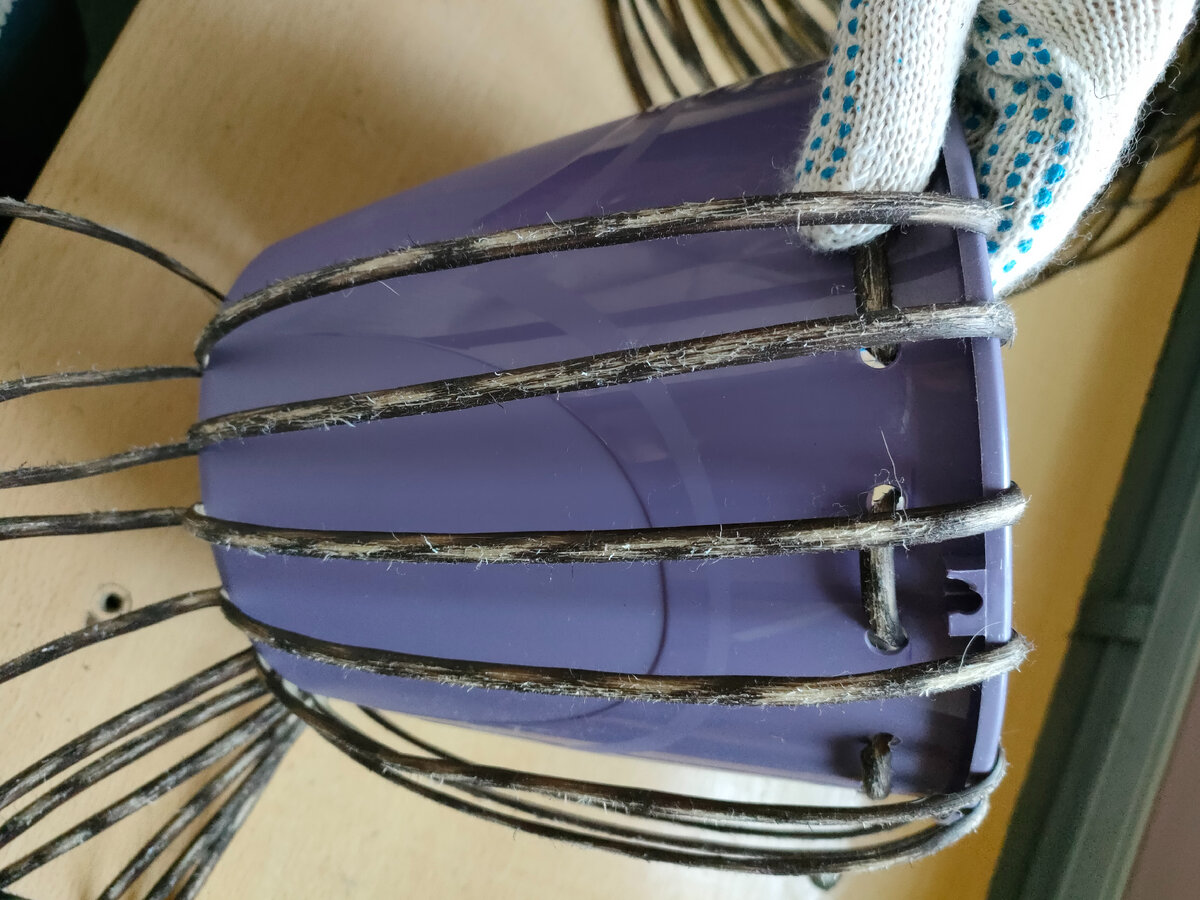 Осминожка. Фото автора.