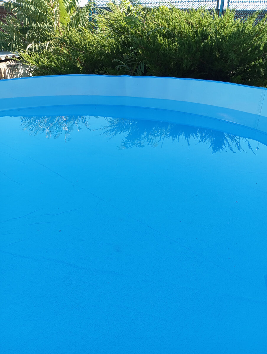 Фото автора. Сегодня утром. 