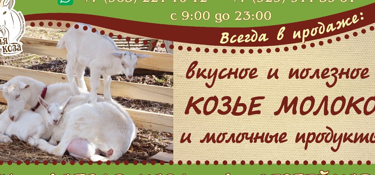 Добрая коза, Альметьевск: Кафе Ул. Ленина, 8 Любимый город