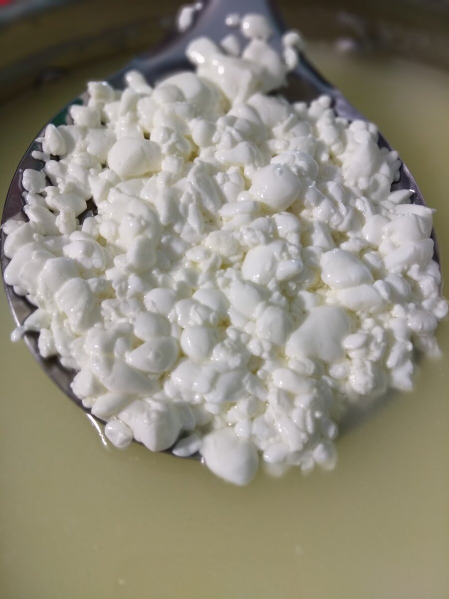 Сырное зерно