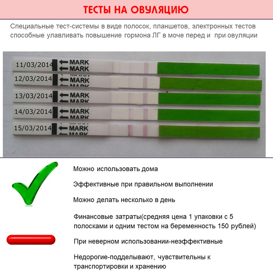 Как отличить овуляцию