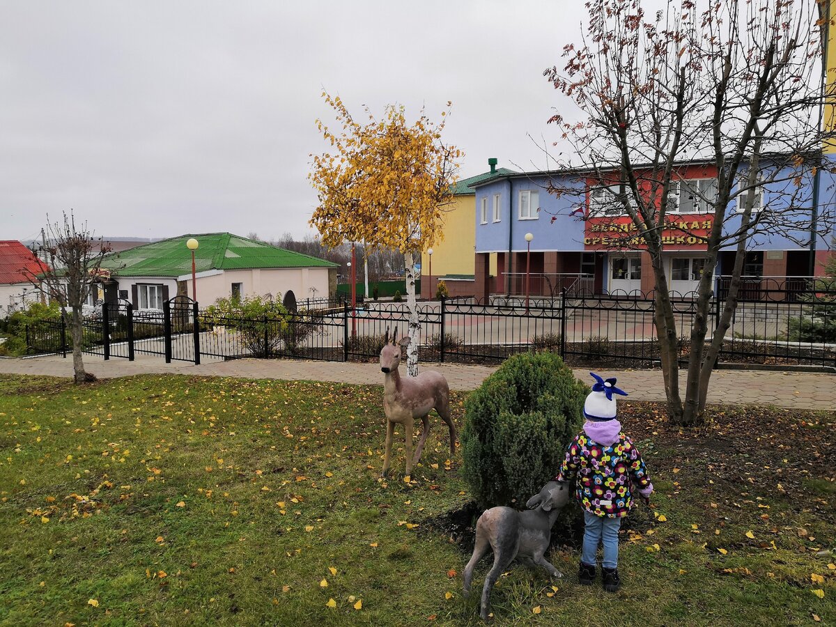 Вход в школу