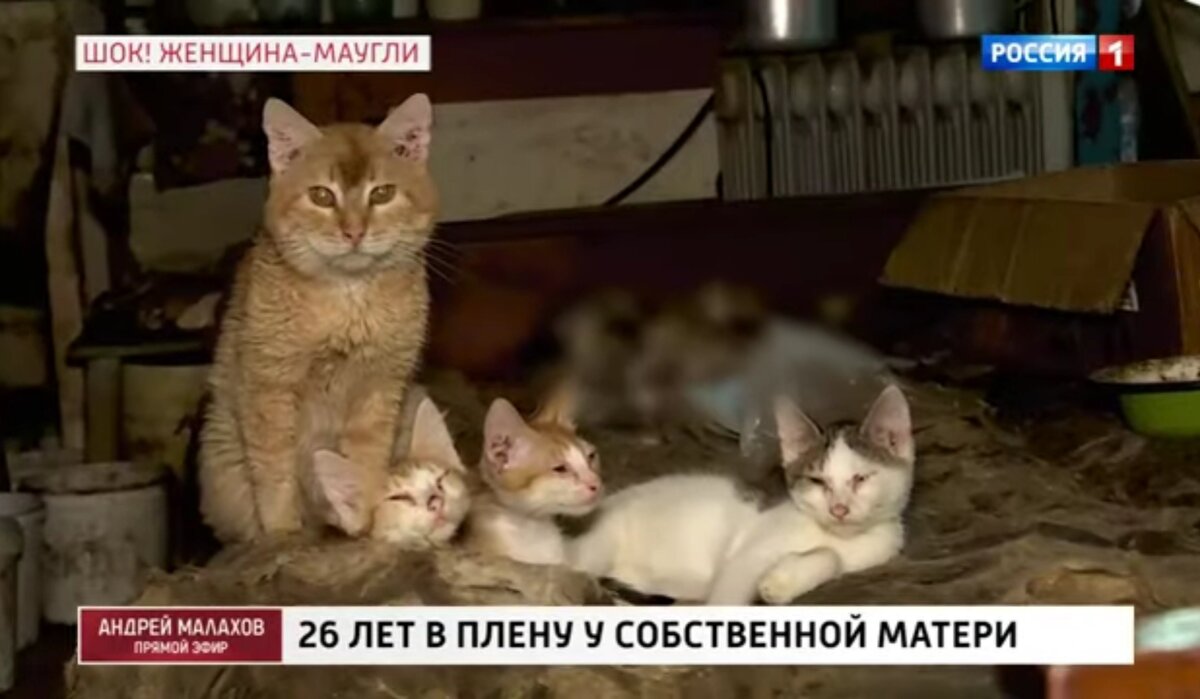 Фрагмент программы из открыых источников
