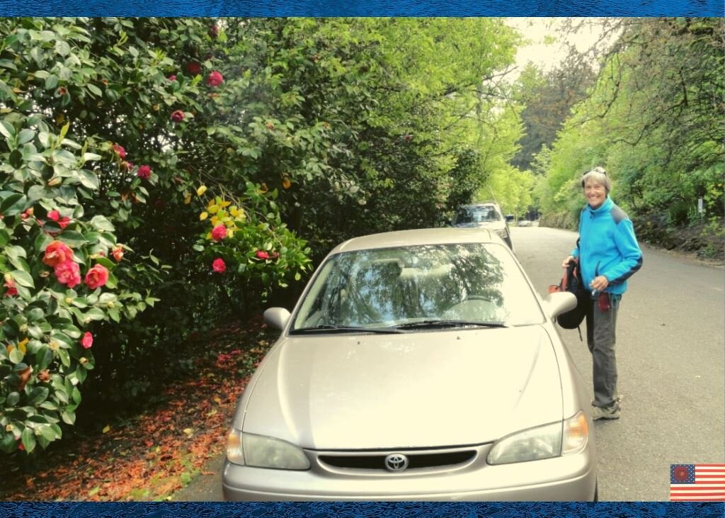 Это Гленда. В тот день мы гуляли с ней в парке недалеко от ее дома. Но "недалеко" предполагало, что надо проехать на машине. Слева-цветущая камелия. Некоторые виды цветут даже в декабре/январе.