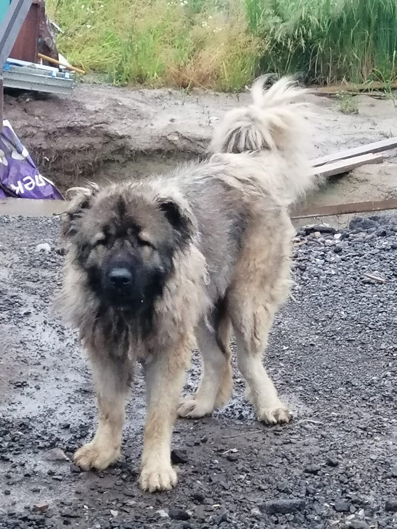 Энакин Скайуокер
