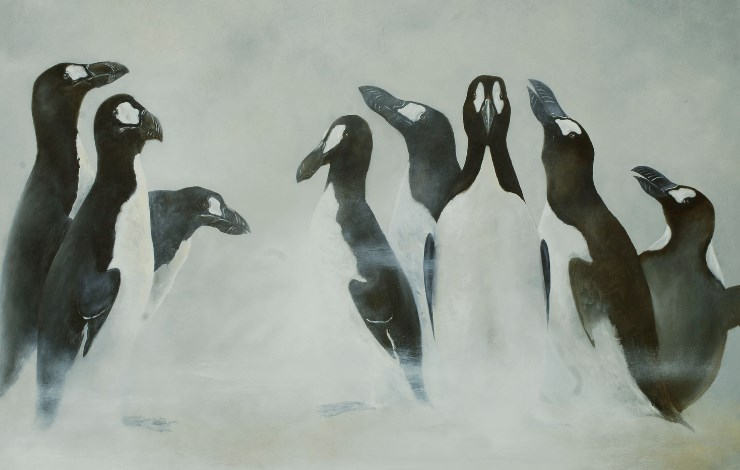 Эти гагарки смотрят прямо в душу. 