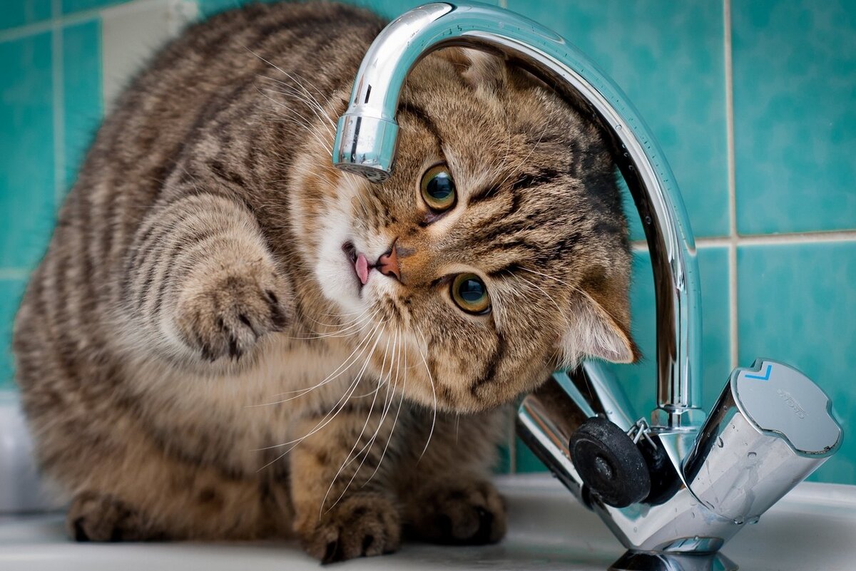 источник фото: Вечерний Гродно