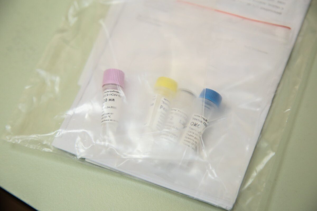 Фото: Лидия Ветхова 