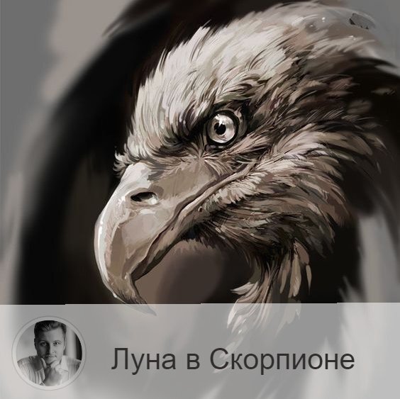 Луна в знаке зодиака Скорпион с 07:12 27-ого по 10:25 29-ого. 👥 Проходя по знаку Скорпиона, Луна привносит страсть в нашу повседневную жизнь. Мы становимся более деятельными, активными, воинственно настроенными, появляется жажда действий и свершений, мы более основательно занимаемся любым делом. Но мы становимся более подозрительными и сомневающимися.
✅ Луна в Скорпионе увеличивает тягу ко всему мистическому и запретному. Удачное время для проведения экспериментов, раскрытия тайн, поиска пропаж, кладов, творчества, умственного труда, психоанализа, исследований. Можно использовать это время для разрушения, избавления от чего-либо, избавления от стресса.
❌ Страстность и активность этого времени зачастую переходят границы, и мы можем стать агрессивными, критичными, обидчивыми, саркастичными, ревнивыми, капризными и нетерпимыми. Лучше избегать покупок и финансовых вложений. Неудачный период для всех дел, где важно качество результата, для смены работы, переезда, покупки недвижимости, деловых встреч, подписания контрактов, банковских операций, кредитов, страхования, празднеств и презентаций.
❤️ Возрастает вероятность обидеть, задеть своего партнера острыми и саркастическими высказываниями. Реакция на слова в этот период непредсказуема, поэтому избегайте выяснения отношений. Велика вероятность ссор. Хотя возрастает сексуальное влечение, все же рекомендует ограничить любовные встречи. Не ревнуйте и сами не давайте повод.
💊 Дни Скорпиона делают уязвимее органы таза.

—————
ℹ Для получения прогноза от лучшего астролога страны переходи по ссылке ➡ numeromagic.ru/uslugi