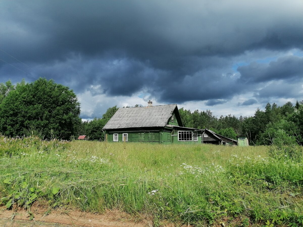 Прогуливаясь по нашей деревне, с грустью смотрю на множество заброшенных  домов... | Вокруг родного края | Дзен