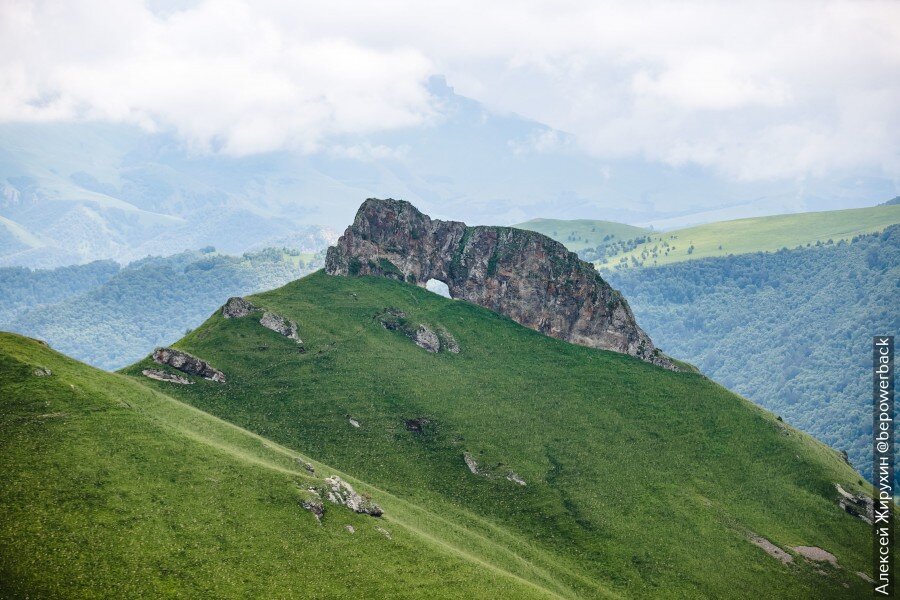 Гудгора Кавказ