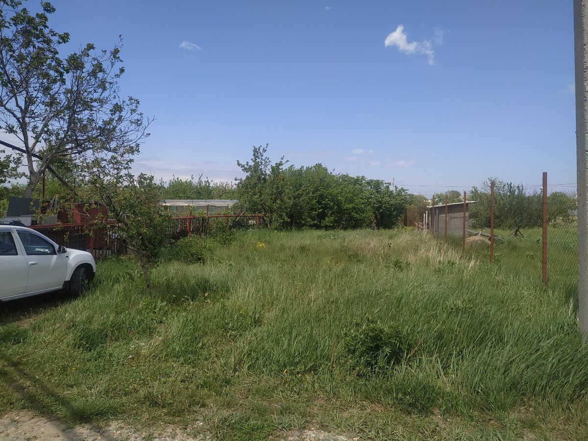 Вот он, участок мечты. Травы по колено, работы на годы. Там где кустарник, это только середина участка.