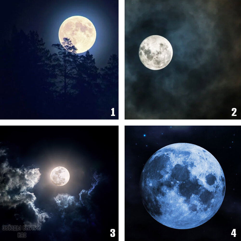                                                                      Тест - предсказание: 4 луны.