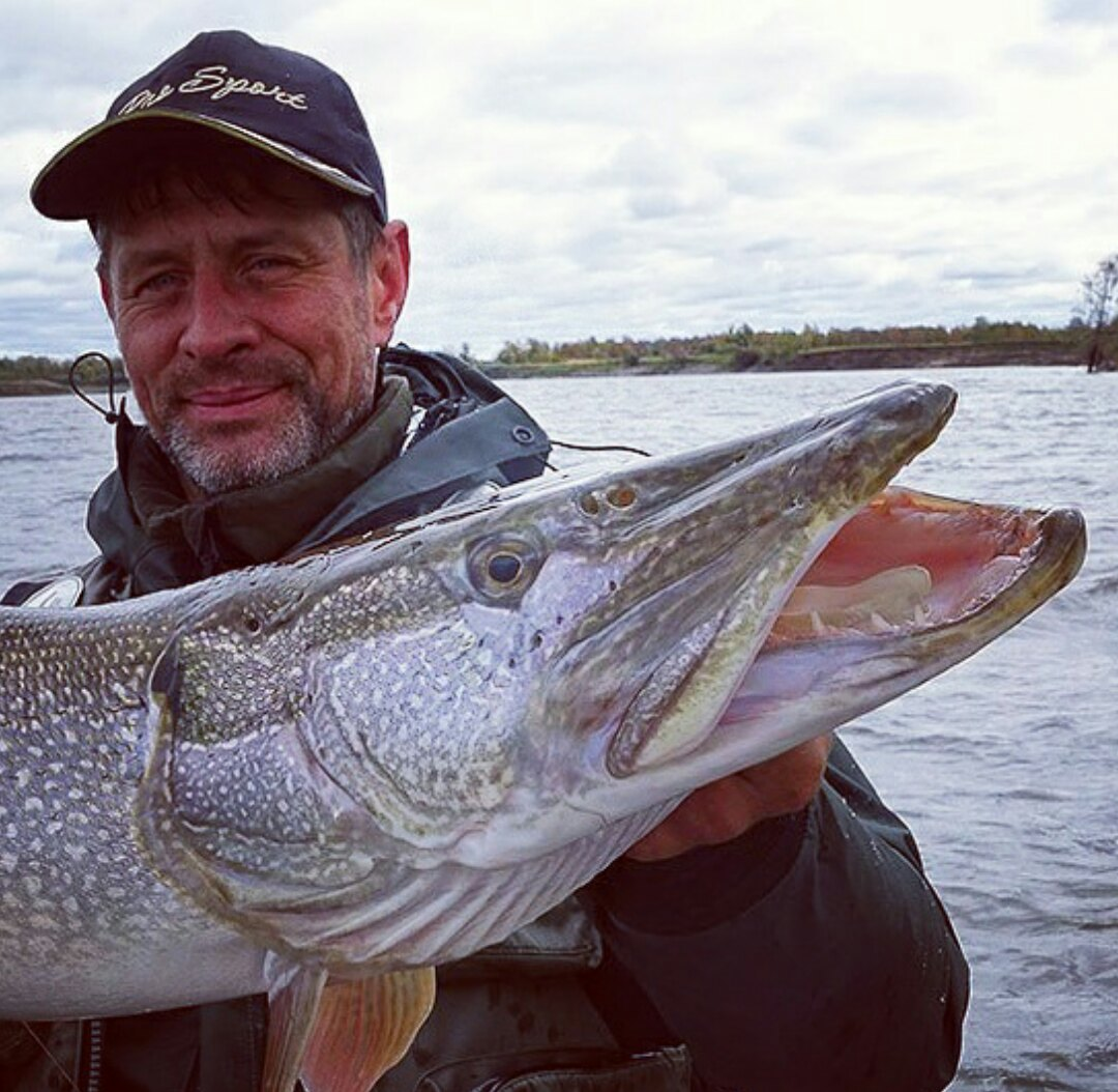 ЛУЧШАЯ приманка на ХИЩНИКА. Ага... щас... | Max Fishing | Дзен