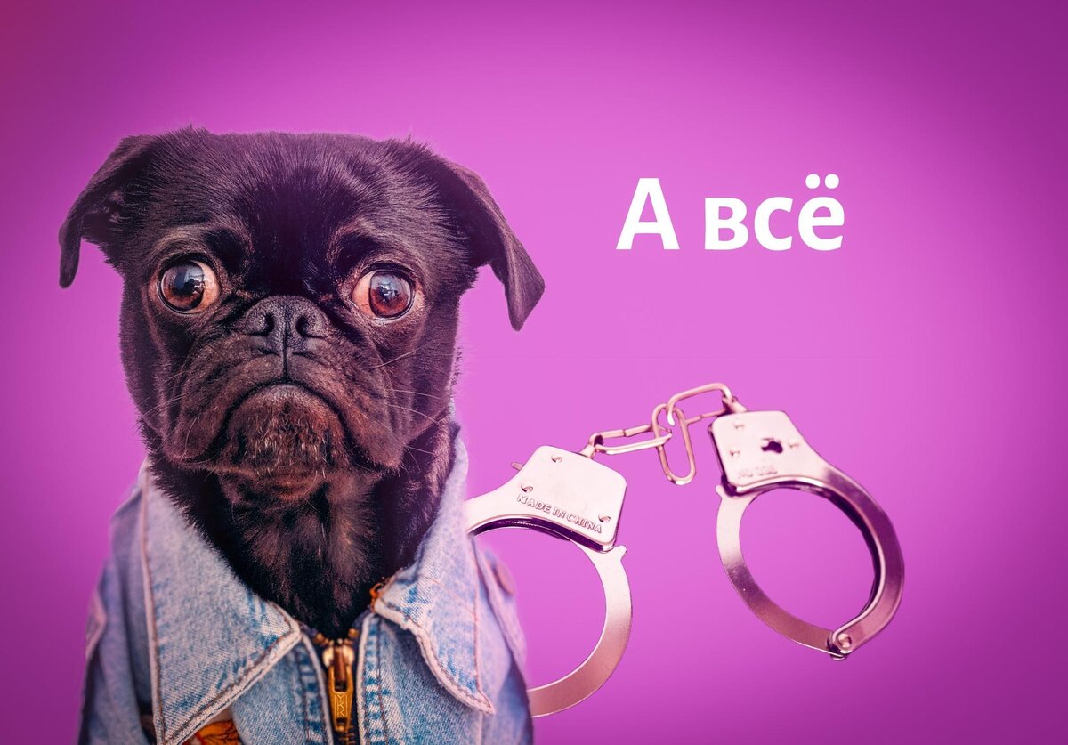 Кто знает, сколько подобных историй с ошибочными постановлениями закончились печально и заставили предпринимателей возиться с судами и банками, чтобы вернуть свои деньги