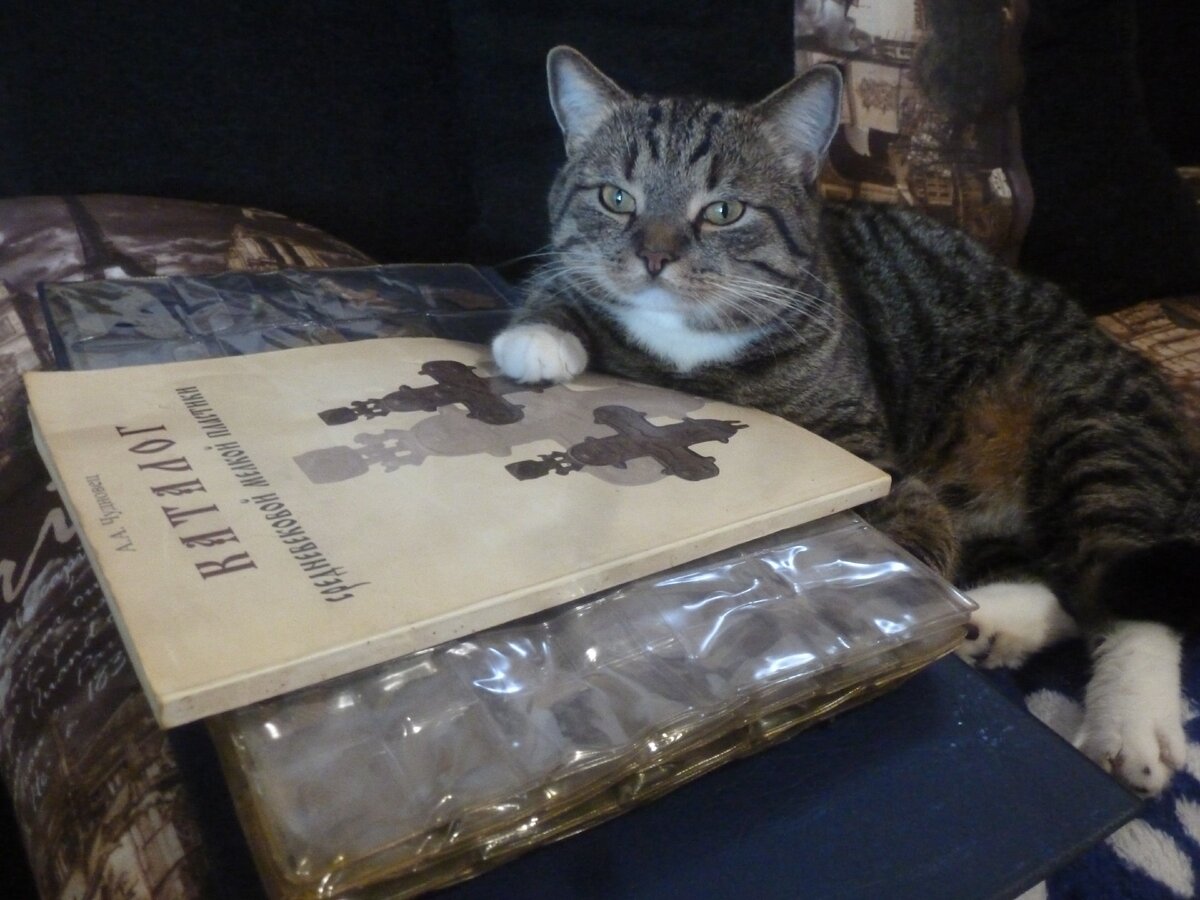 Енотовидный кот. 21 век. С каталогом и альбомом с находками.