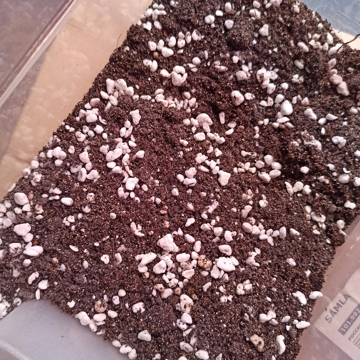 грунт для кактусов и суккулентов Compo cactea с перлитом