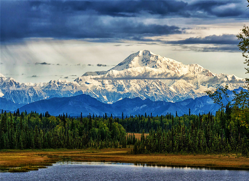 Национальный парк Денали (Источник Google картинки)