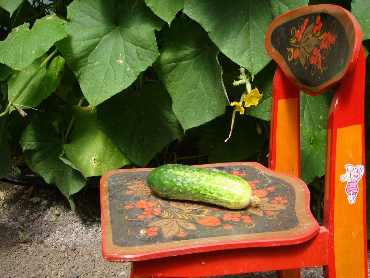 Из личного фотоархива.