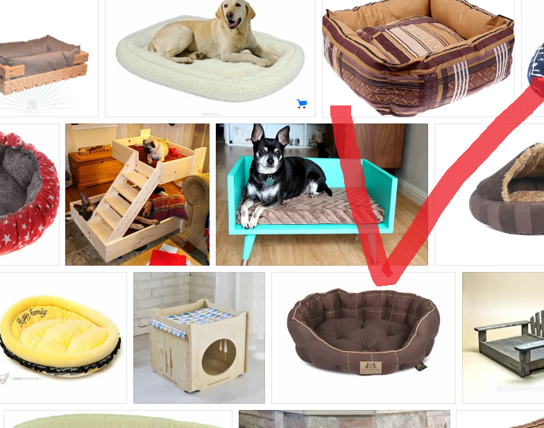 скрин страницы интернета