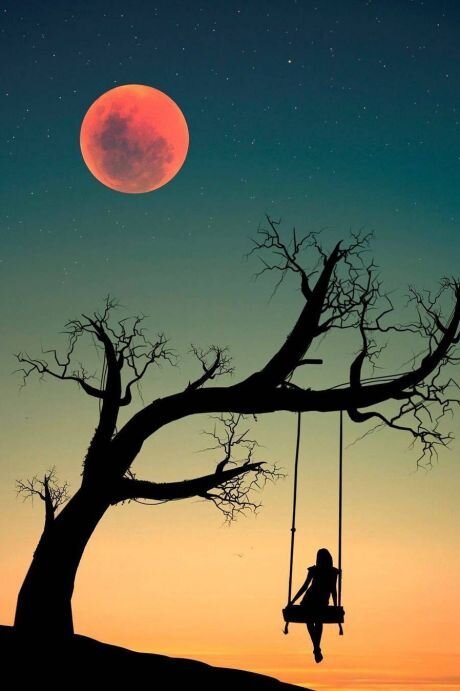 Редактировать галерею

