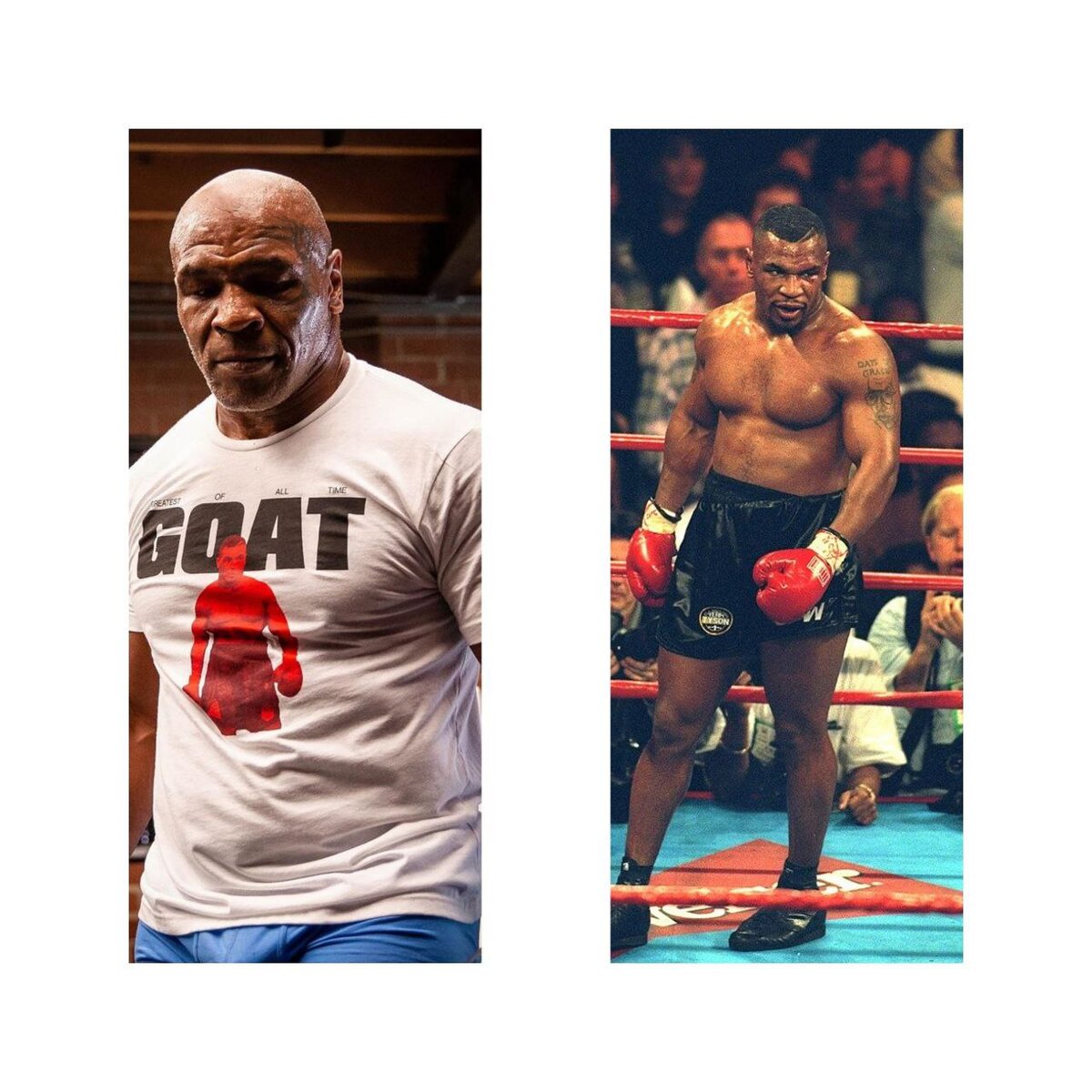 Майк Тайсон сейчас и в молодости