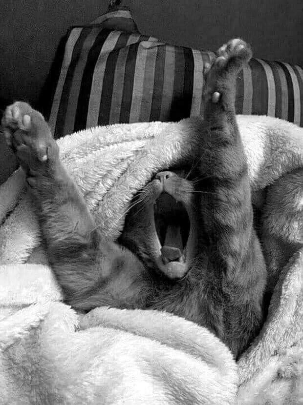 фото использовано в качестве иллюстрации. Источник "Яндекс.Картинки"