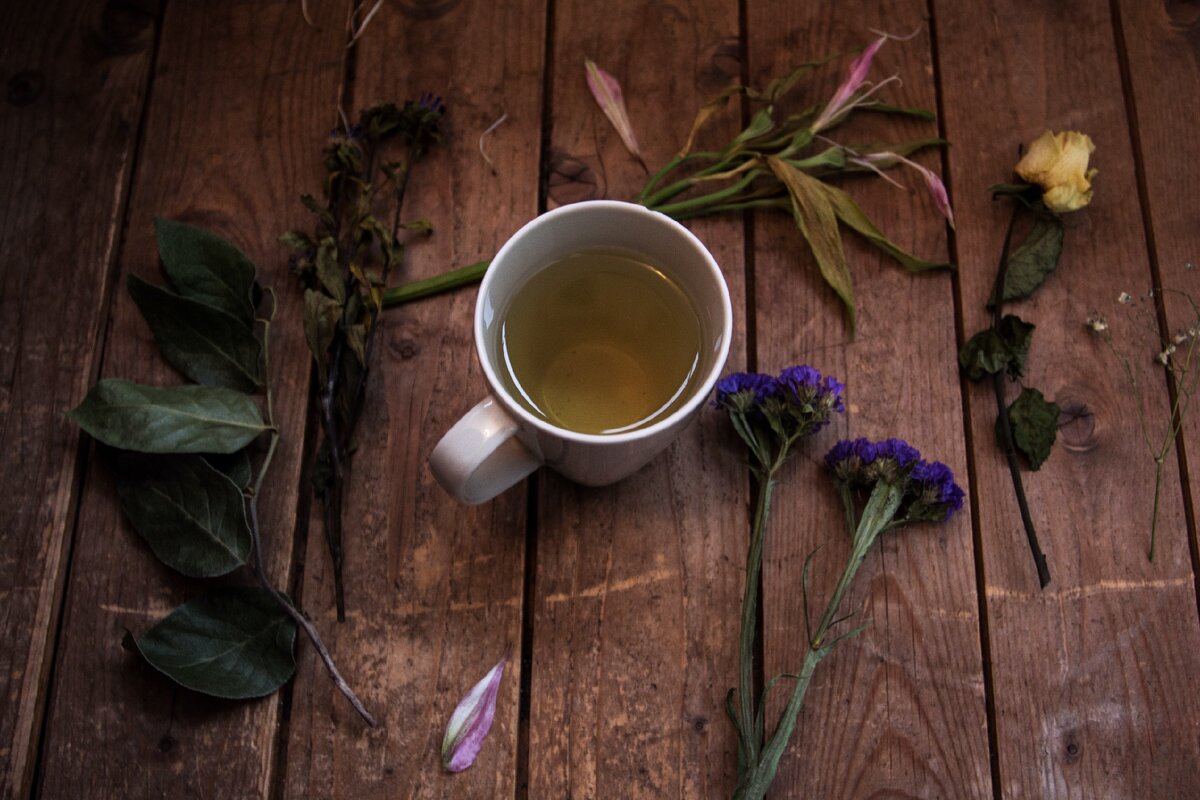 5 самых полезных видов чая