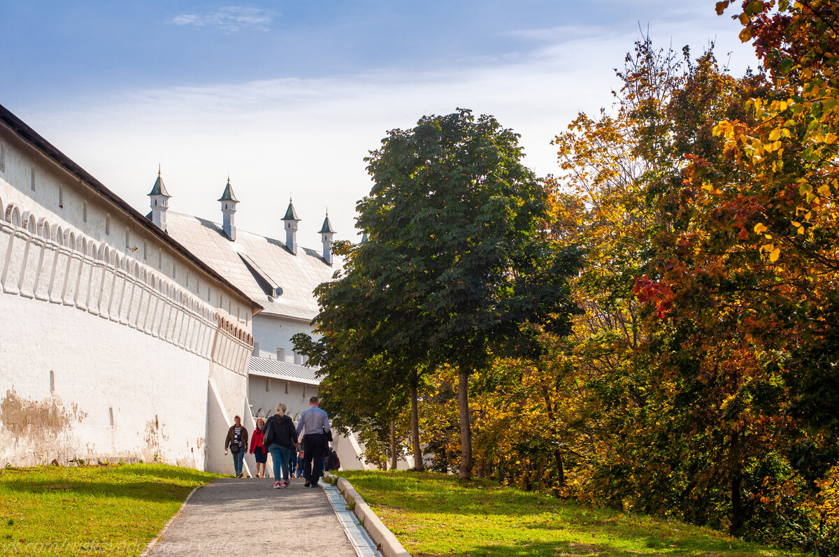 монастырская ограда и палаты