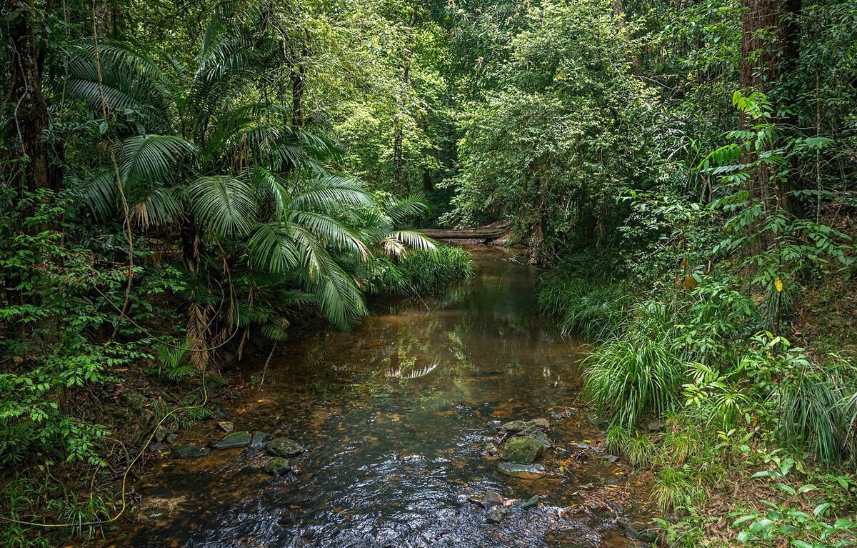 Галерея: Paul Westerwell