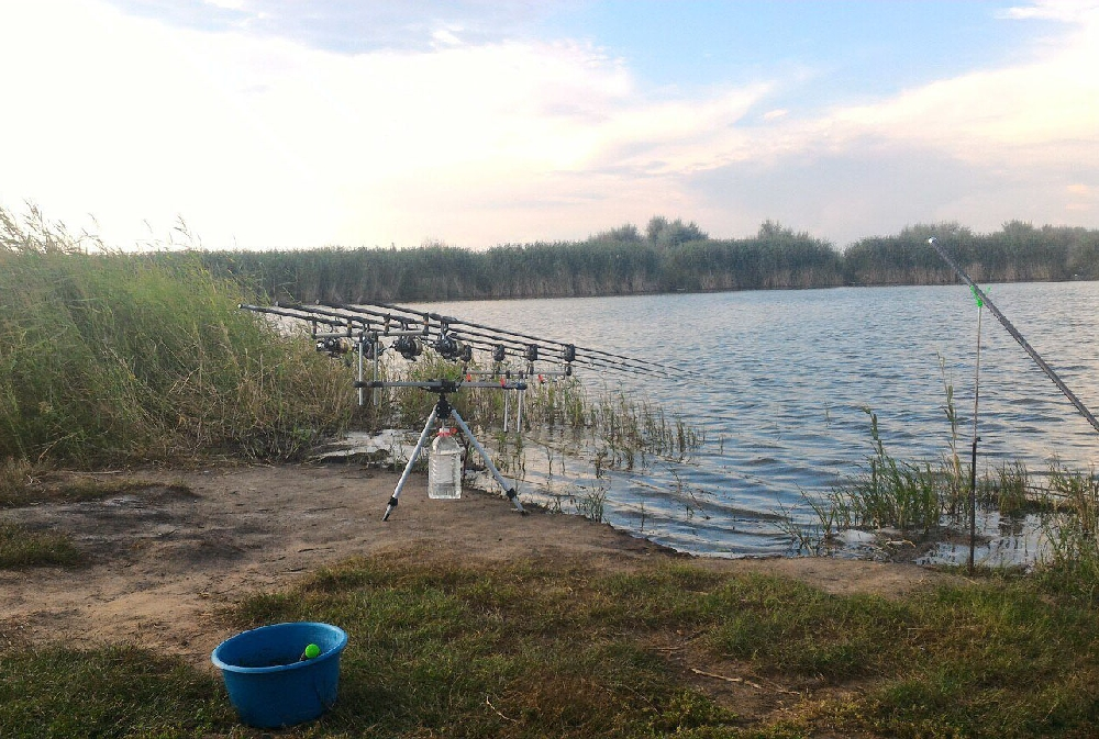 Запрудный платная рыбалка. Пруд БАМ Камышинский район. Тепловское водохранилище Саратовская область. Озеро БАМ Егорьевское шоссе. Коростино пруд БАМ.