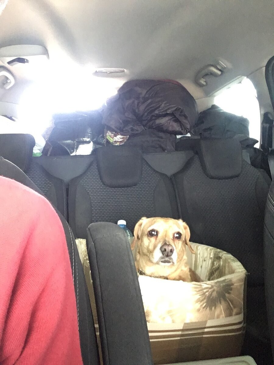 Переезд в Коми