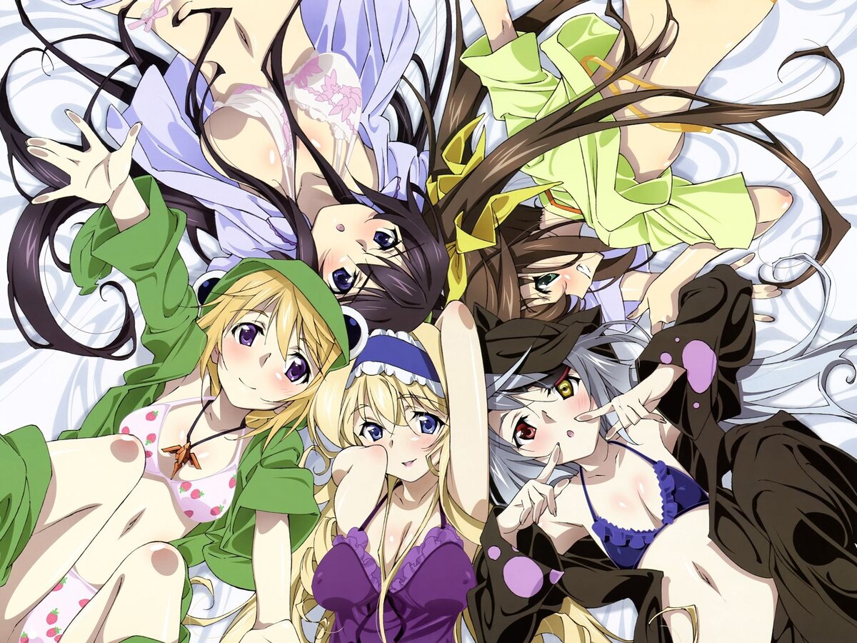 Infinite Stratos аниме