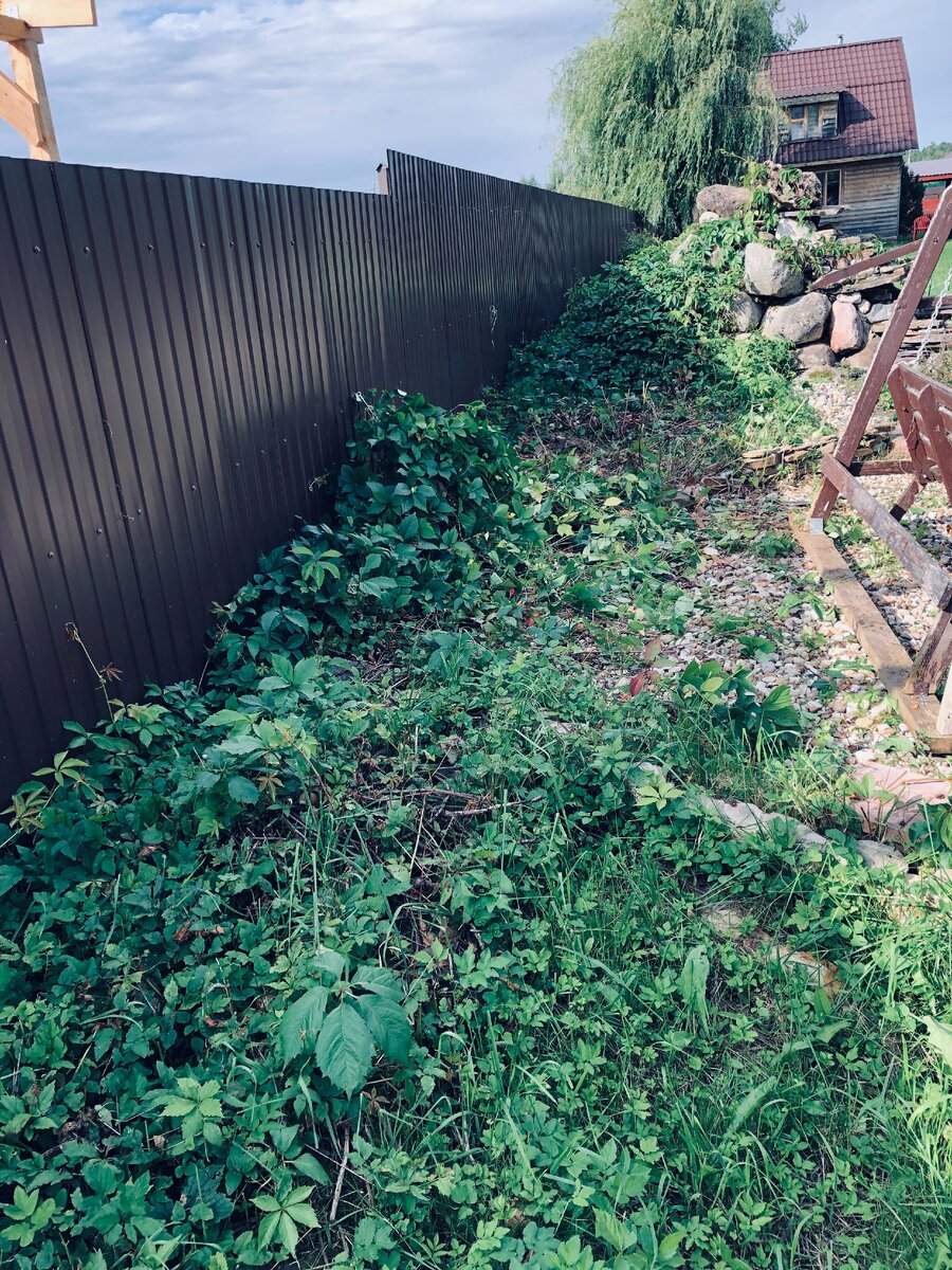 Все, что за грудой камней я хочу заложить пленкой и плиткой. 