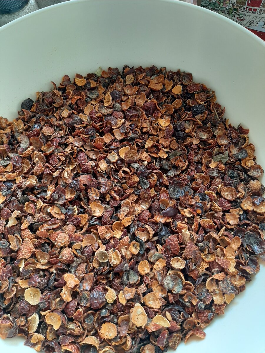 Оболочка плодов шиповника