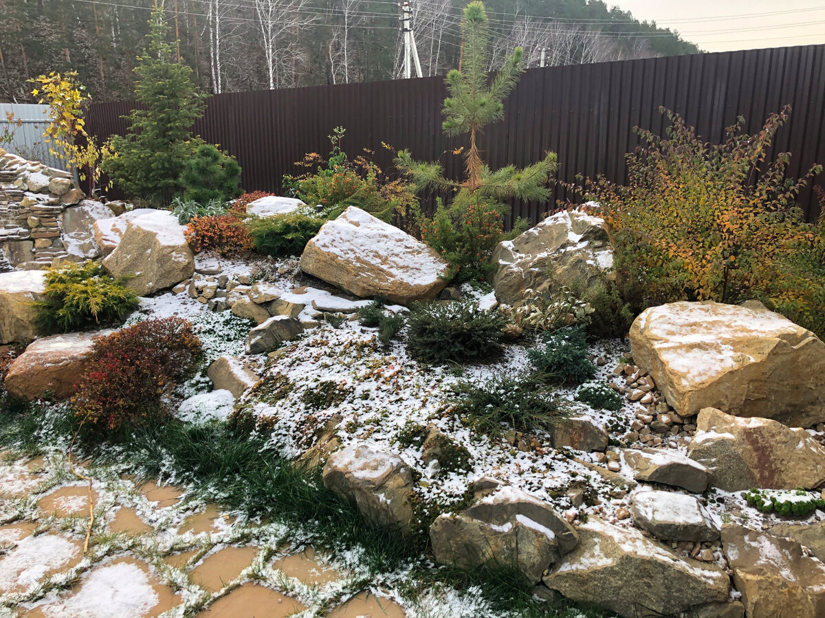 Все почвопокровные растения под снегом..