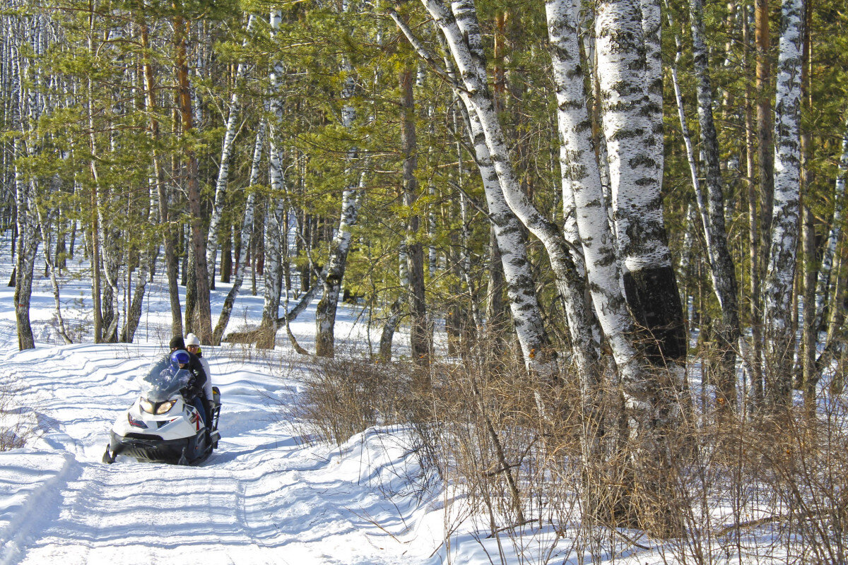 На снегоходах к скале «Арка» 