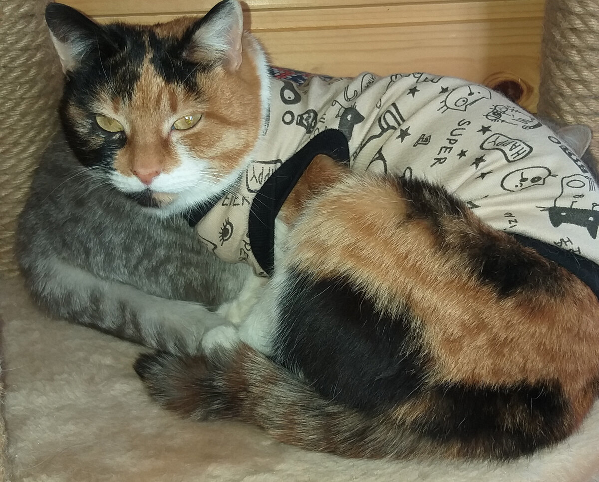 Знакомьтесь - Матильда и Василиса.