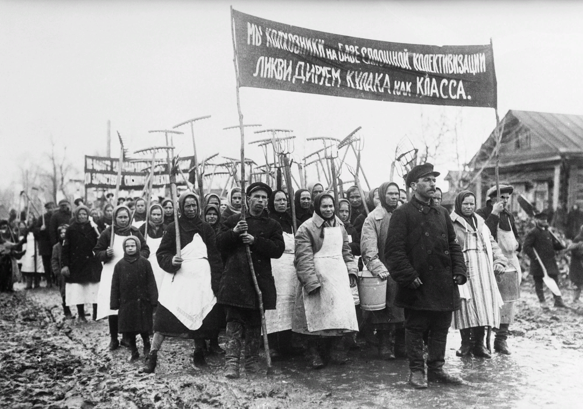 Коллективизация сельского хозяйства | ИСТОРИЯ | Дзен