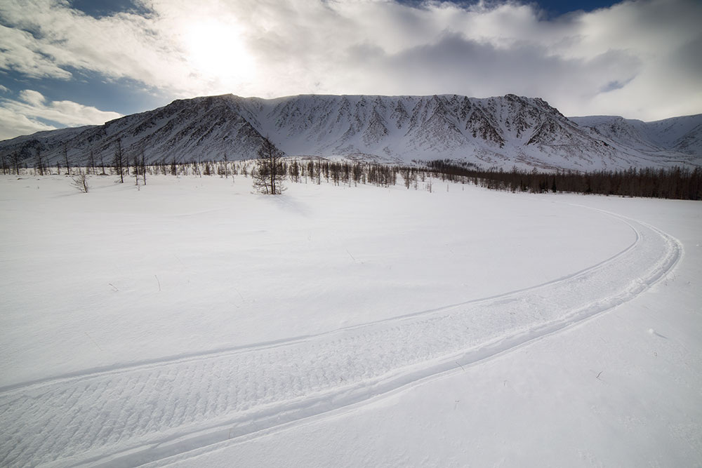Фото: Сергей Карпухин
