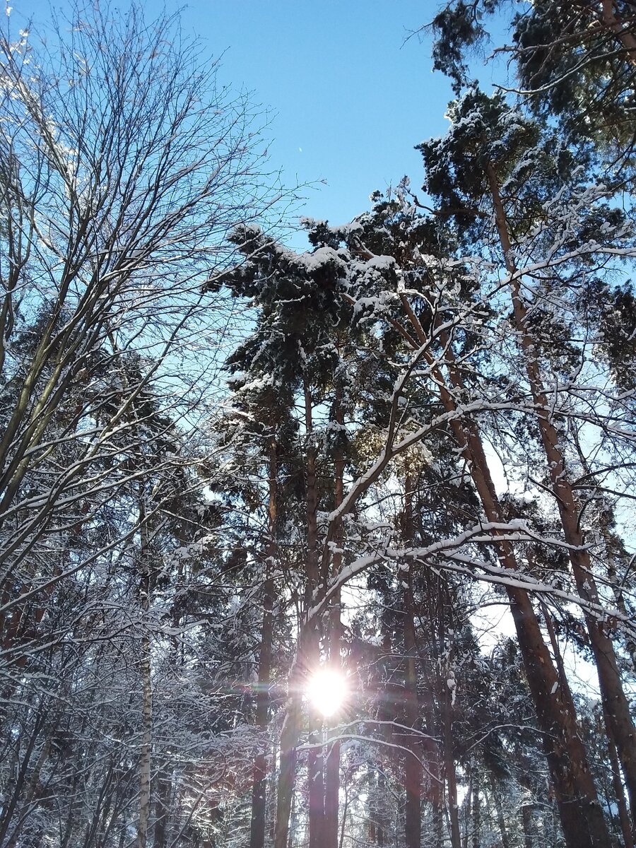 Фотографии из личного альбома 