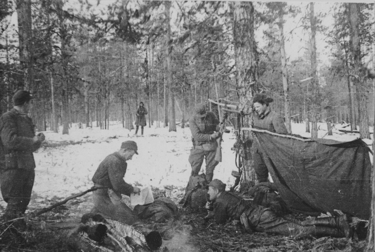 Лагерь Партизан в лесу