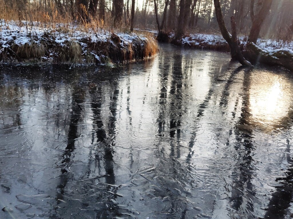 Река химки