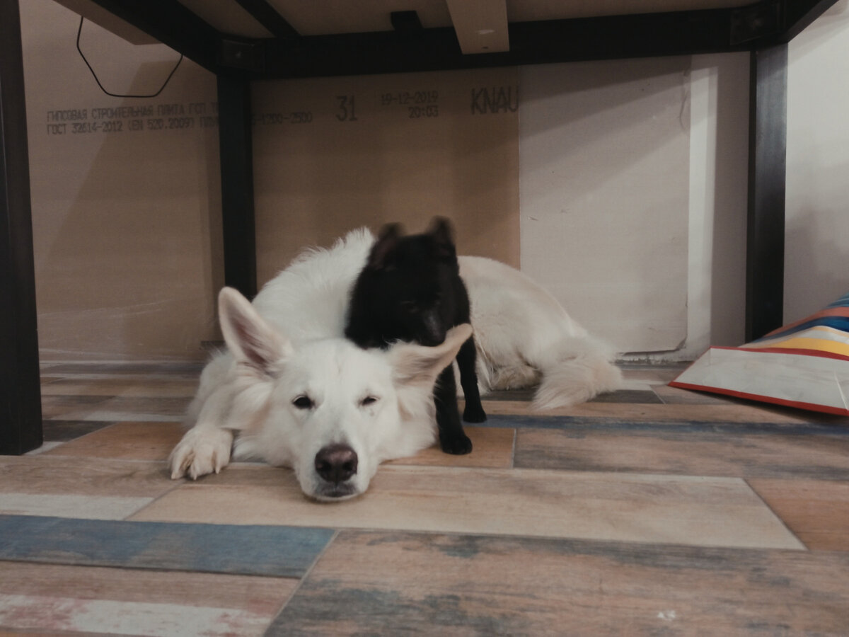 Линда - сама мудрость. Терпит любые выходки мелкого демоненка.