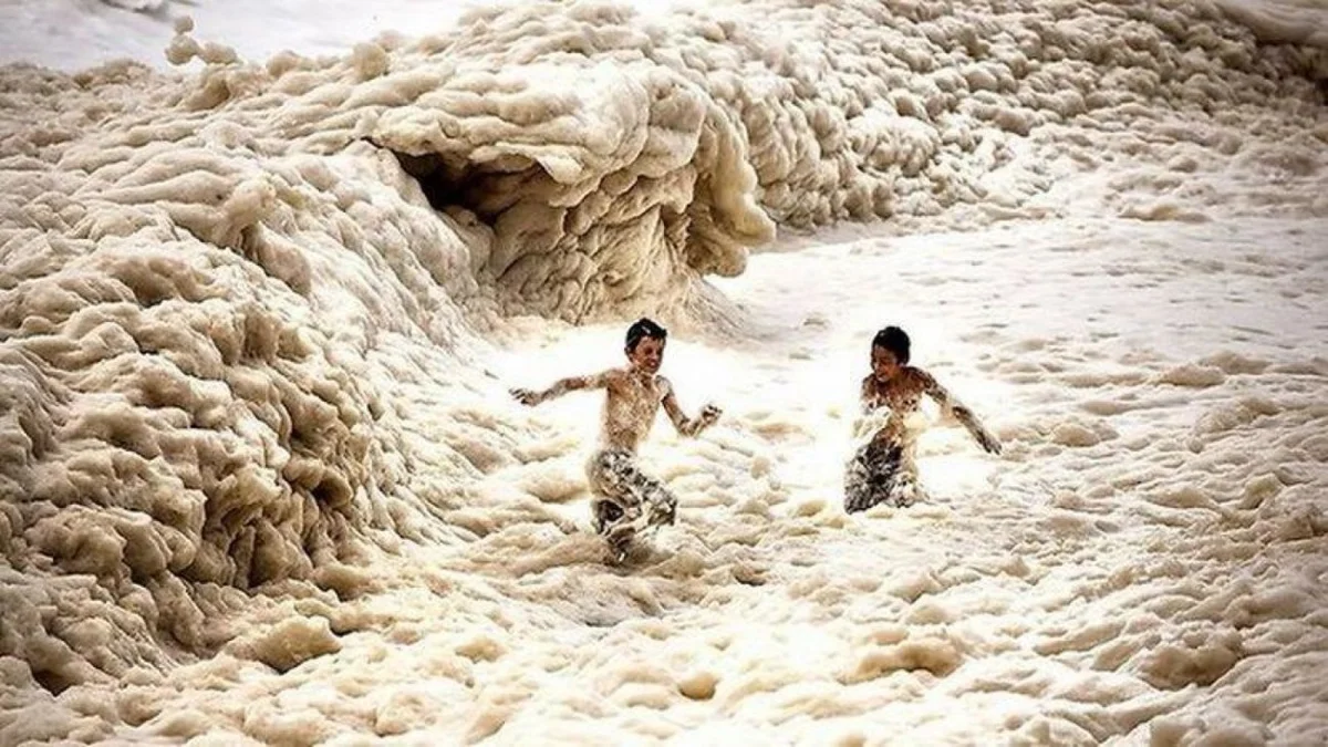 Источник фото - Интернет