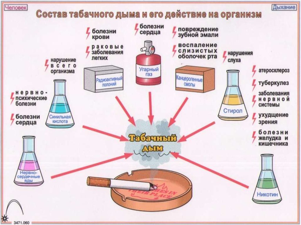 Изображение взято из открытых источников